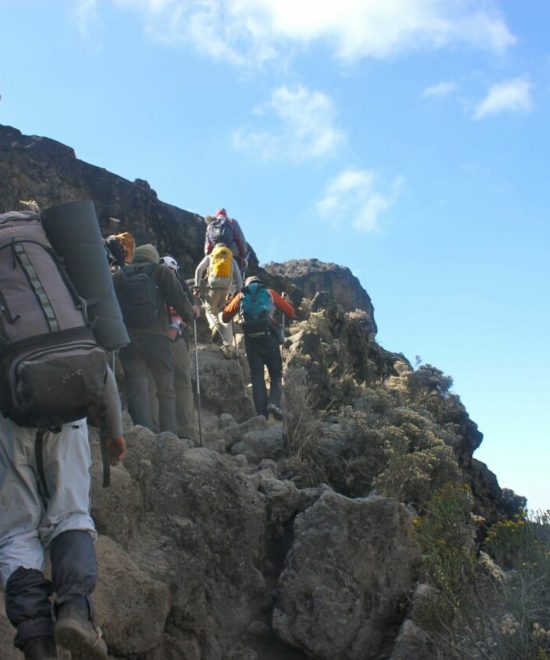 Gegroepeerde Kilimanjaro-trekking via Machame