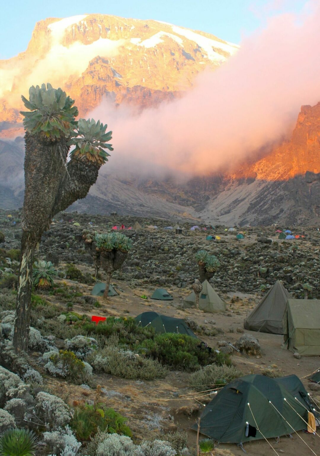 Camping au pied du Kilimandjaro