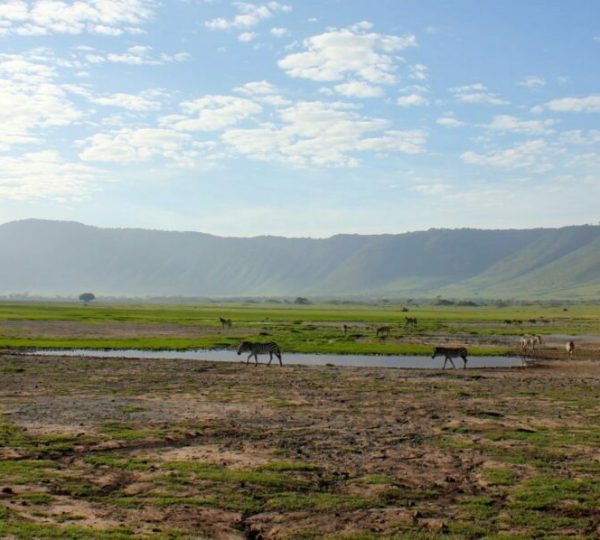 Ngorongoro-Krater