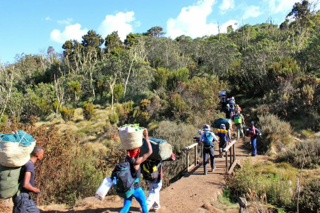 Début de l'ascension du Kilimandjaro