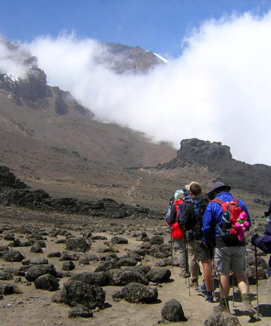 Kilimanjaro beklimming via Marangu