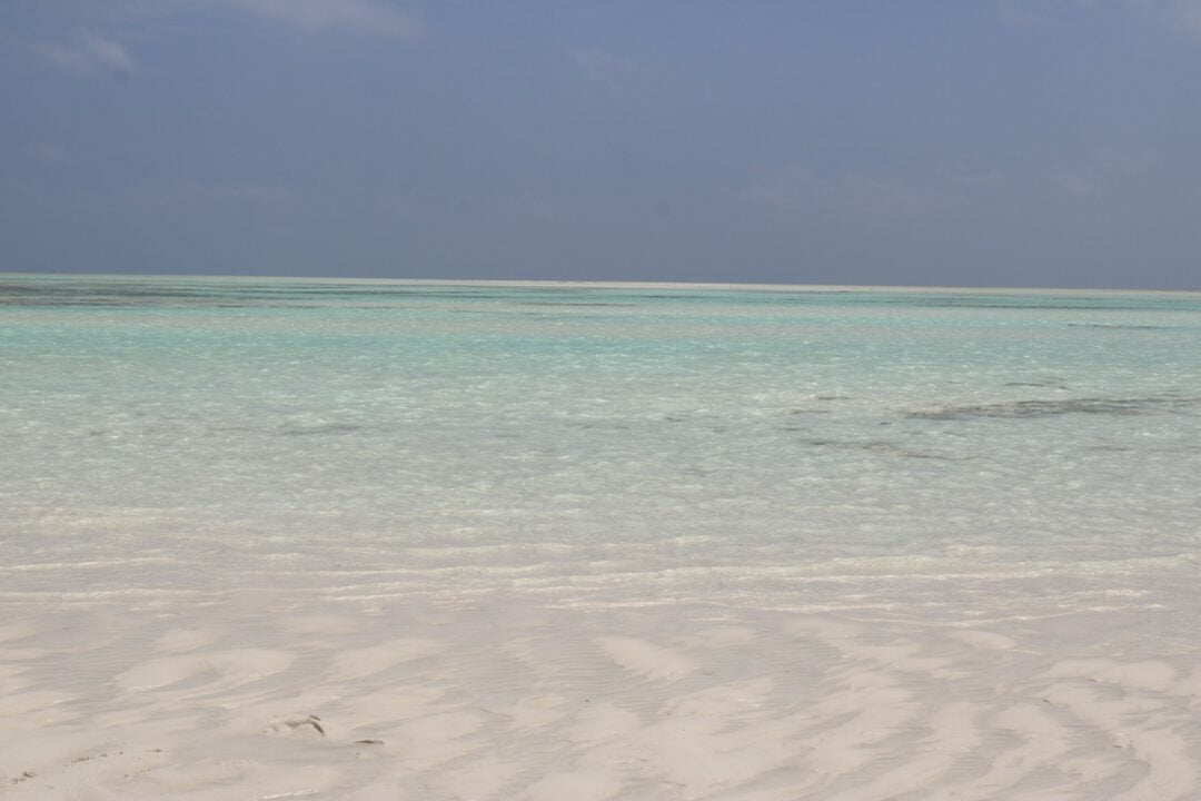 Mnemba