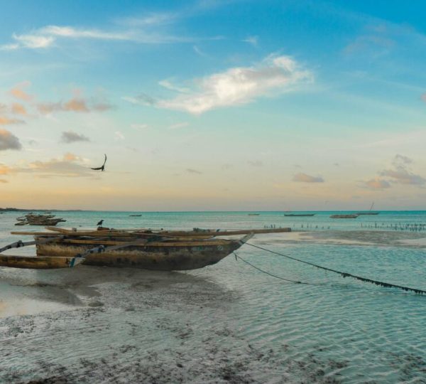Reise Zanzibar Pemba