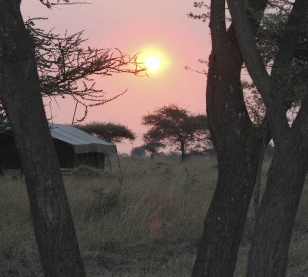 Wildlands Serengeti Camp