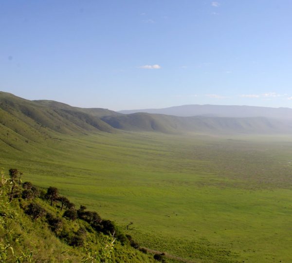 Ngorongoro-1