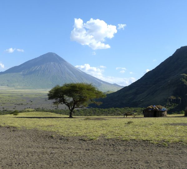 Von der Serengeti zur Region des Natron-Lengai-Natron