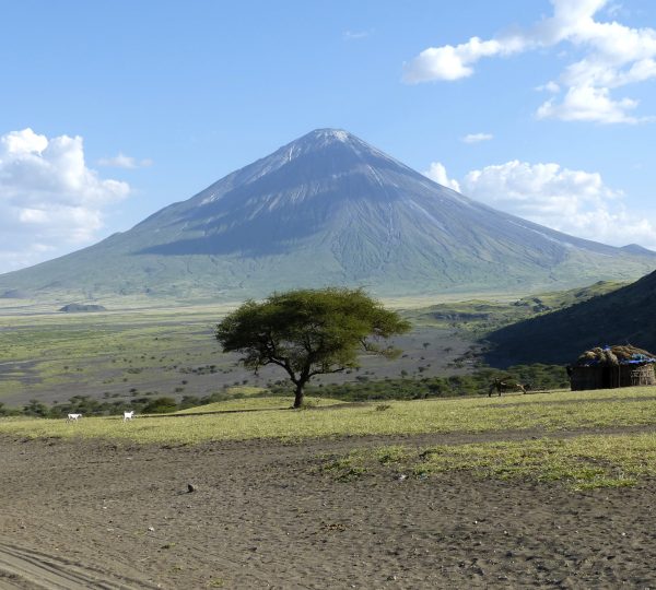 Von der Serengeti zur Region des Natron-Lengai-Natron