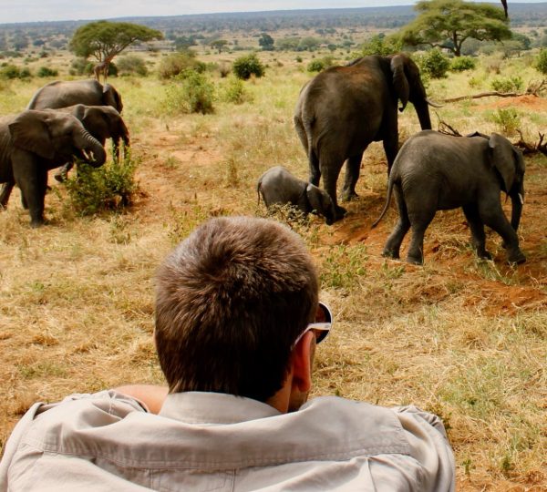 Tarangire-Nationalpark