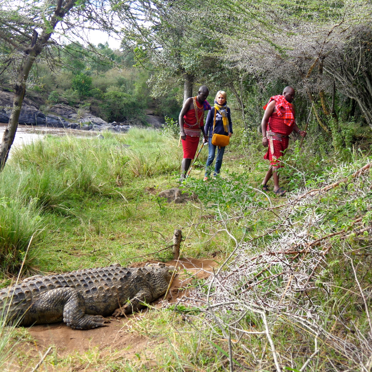 Wandelsafari