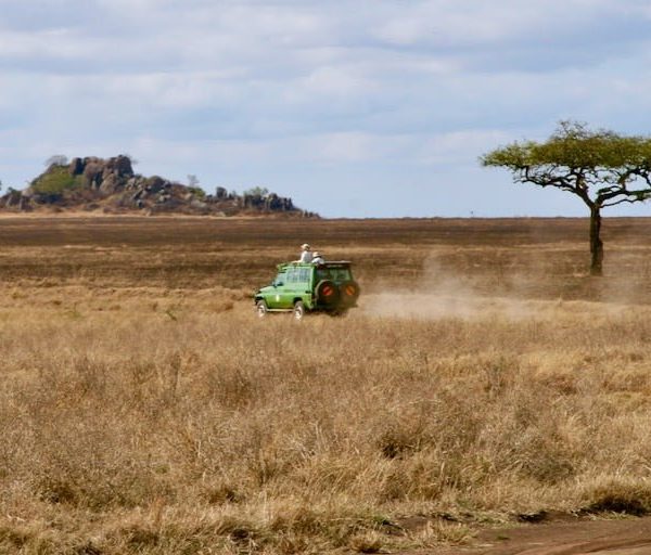 Serengeti