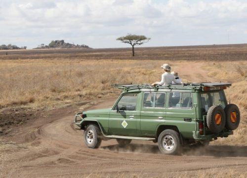 Wanneer naar Tanzania reizen om het Serengeti te bezoeken?