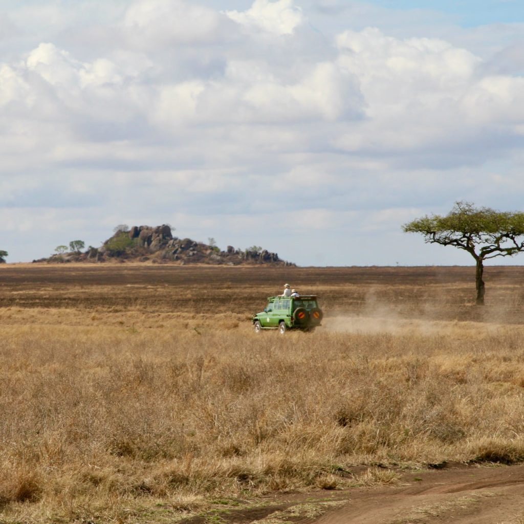 La savane de Tanzanie