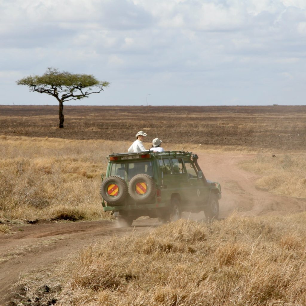 Jeep Safari Tanzanie