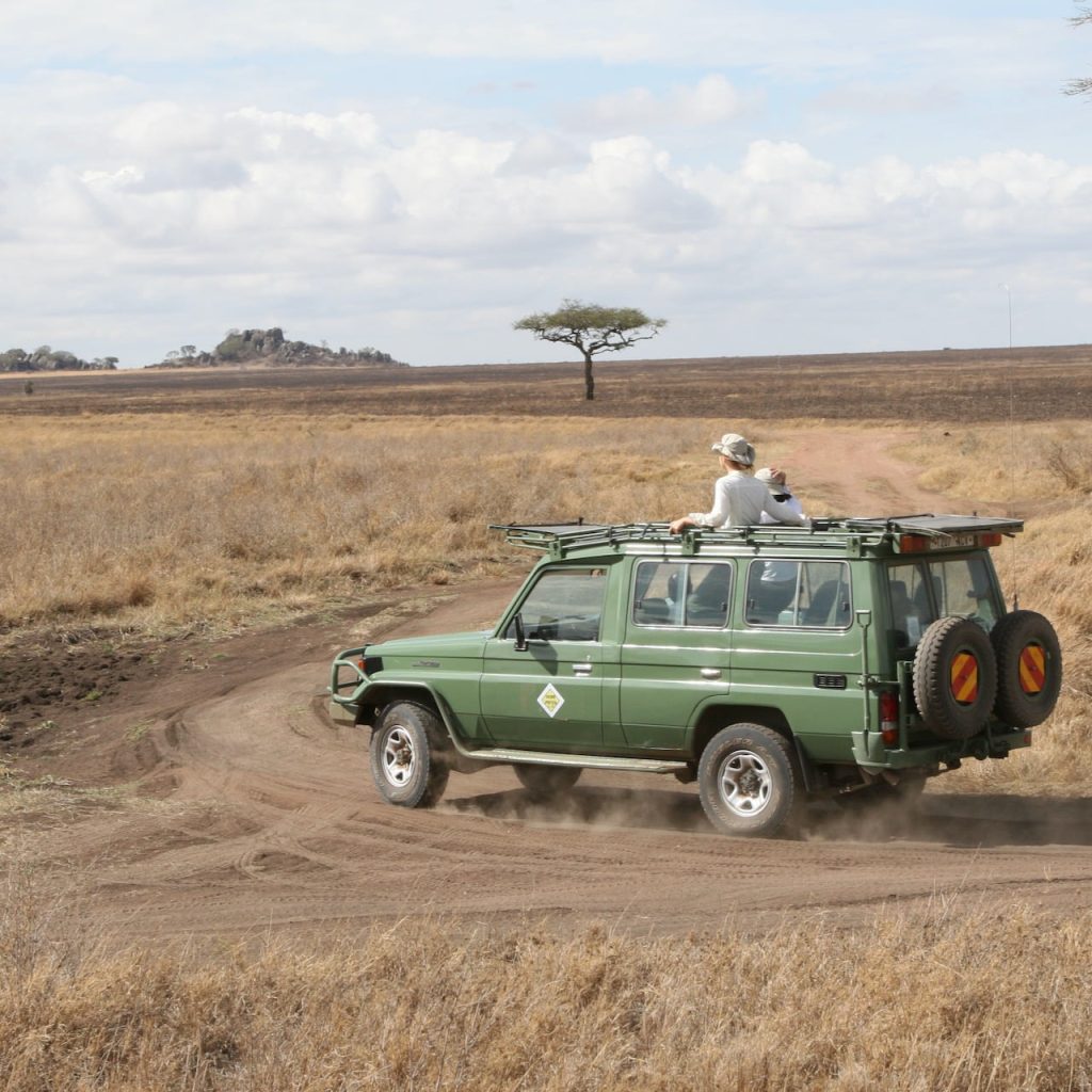 Safari Tanzanie 4x4