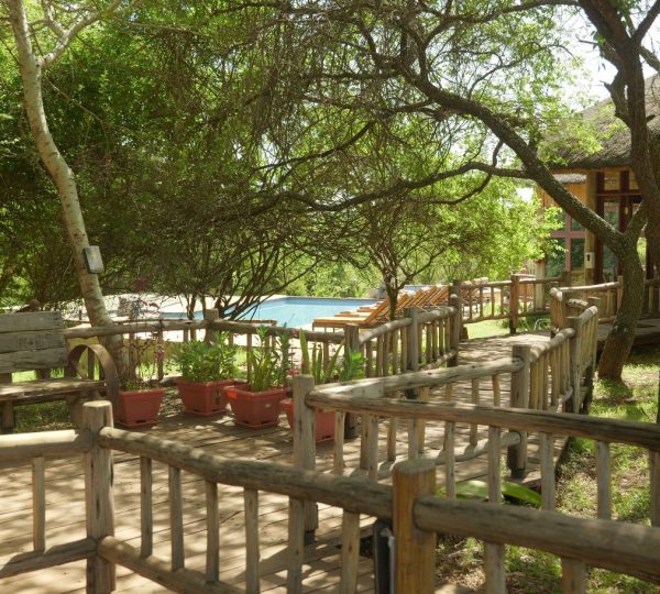 Lodge luxe Tanzanie