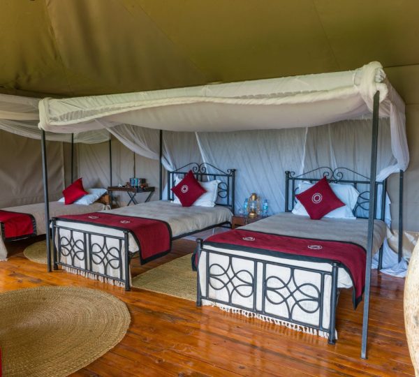 Ngorongoro Forest Tented Lodge Dreibettzimmer