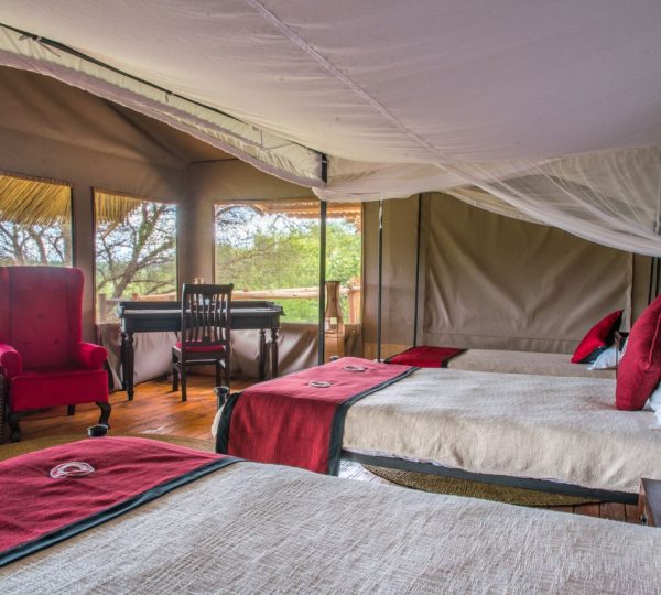 Ngorongoro Forest Tented Lodge Dreibettzimmer