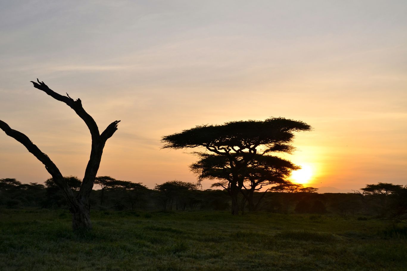Serengeti Wildlands Camp