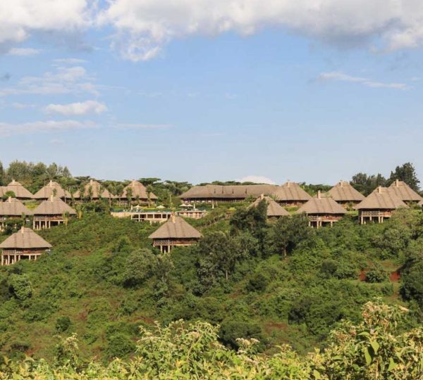 Chalets individuels
