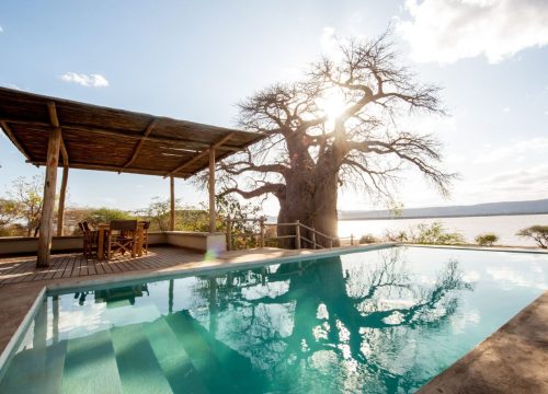 Manyara's Secret