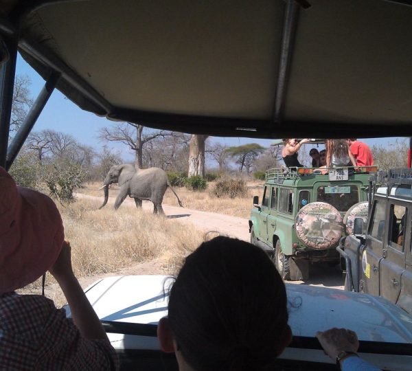 Safari 4x4 Tanzanie du Sud (1)