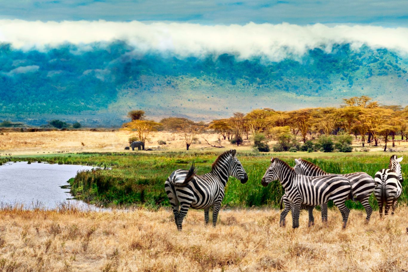 Parc national de Manyara