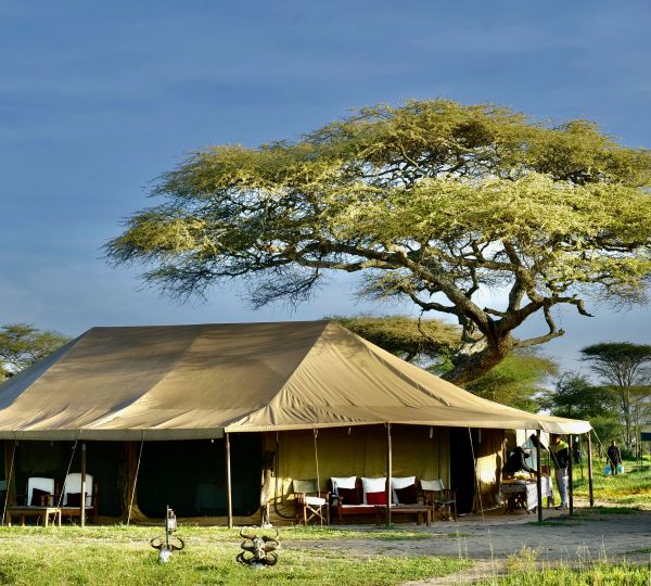 Serengeti Wildlands Mobile Camp Safari Tanzanie