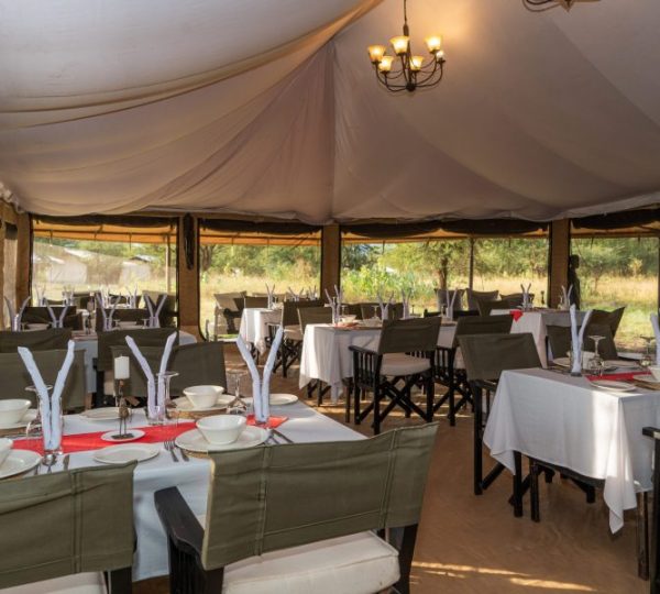 Serengeti Wildlands Mobile Camp restaurant 4