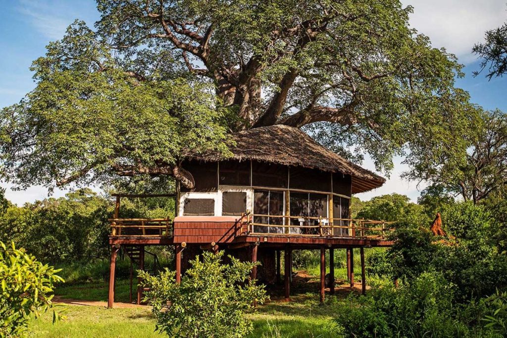 Unterkunft in den Bäumen Tarangire Treetops Tansania