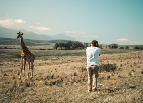 Safari Tanzania
