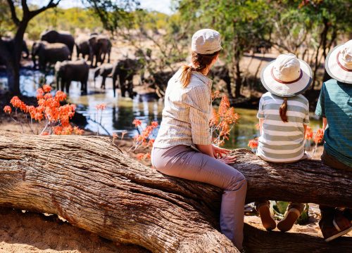 Safari Tanzania met het gezin