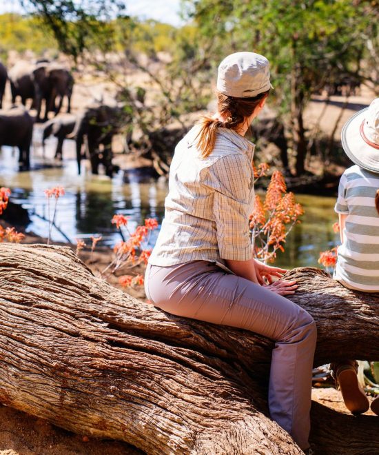 Safari Tanzania met het gezin