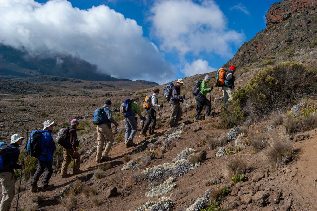 Kilimandscharo-Trekking