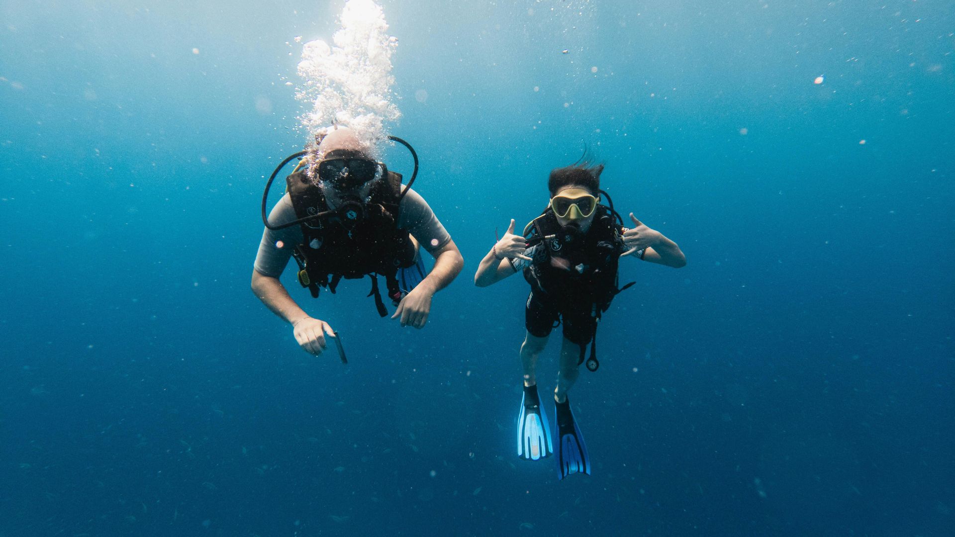 Diving Zanzibar Plongée sous marine