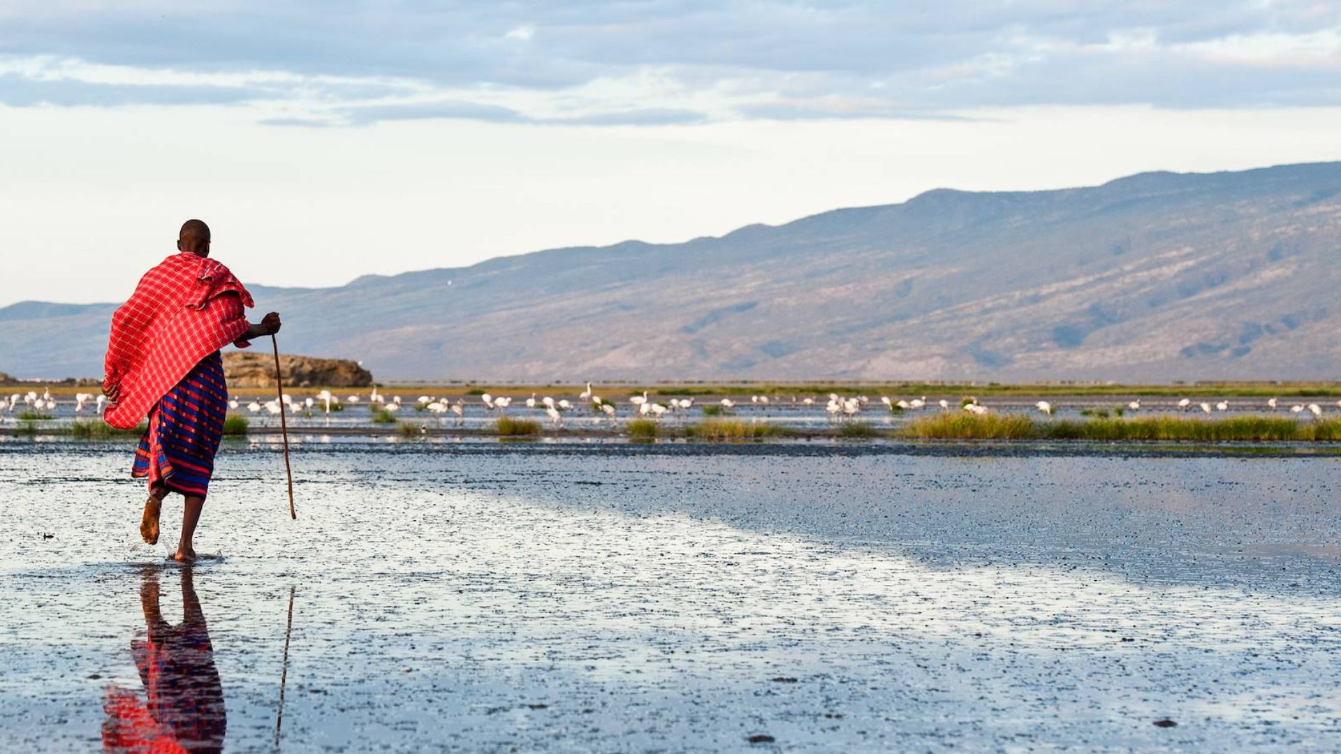 Rift africain lac Natron