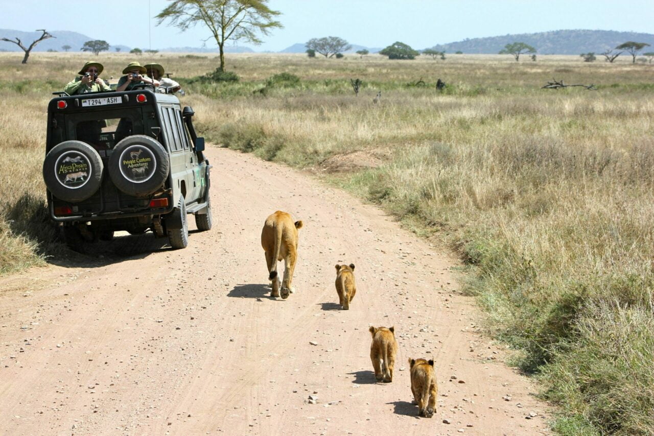 Fotosafari in Tanzania